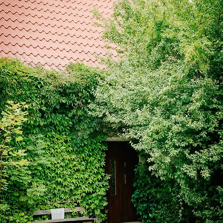 Superapart 31- Ideal For Relaxation & Escapes Sterławki Wielkie